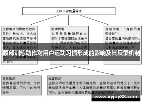 腹部训练动作对用户运动习惯形成的影响及其反馈机制