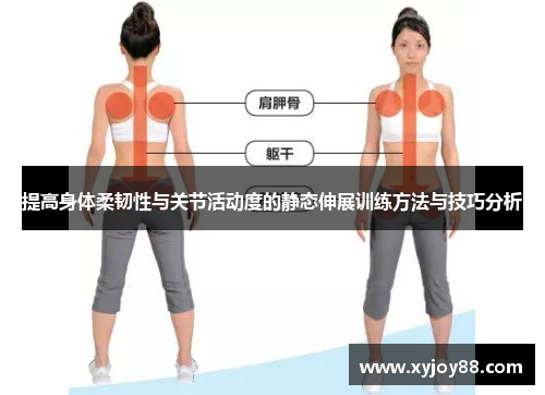 提高身体柔韧性与关节活动度的静态伸展训练方法与技巧分析